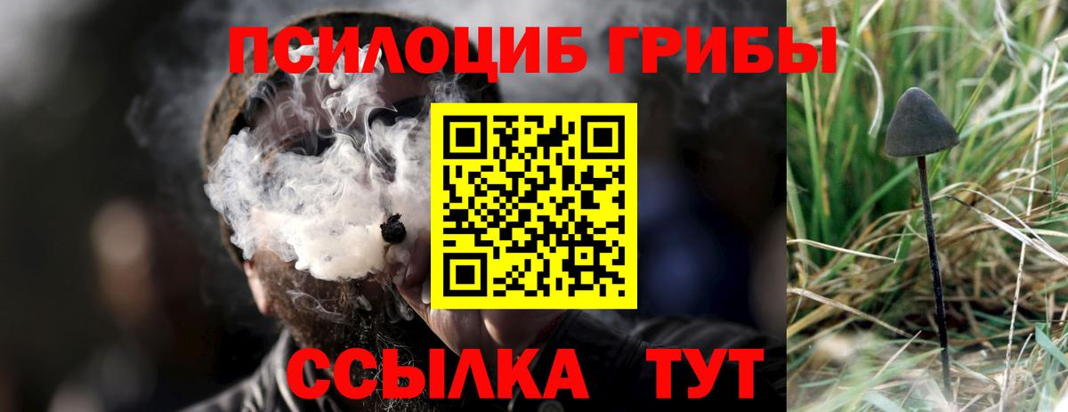 Галлюциногенные грибы Psilocybine cubensis Красный Сулин